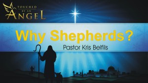 Why Shepherds