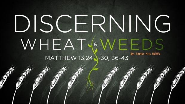 Parables: Discerning Wheat and Weeds